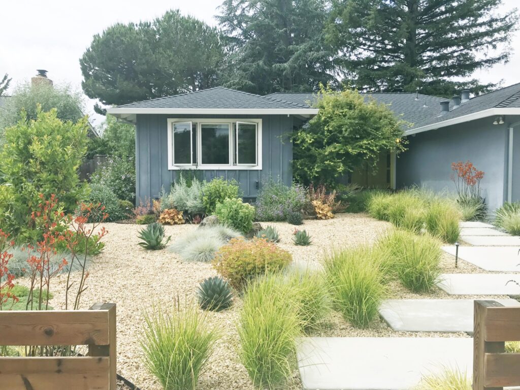 North California drough-tolerant and pollinator-frendly garden